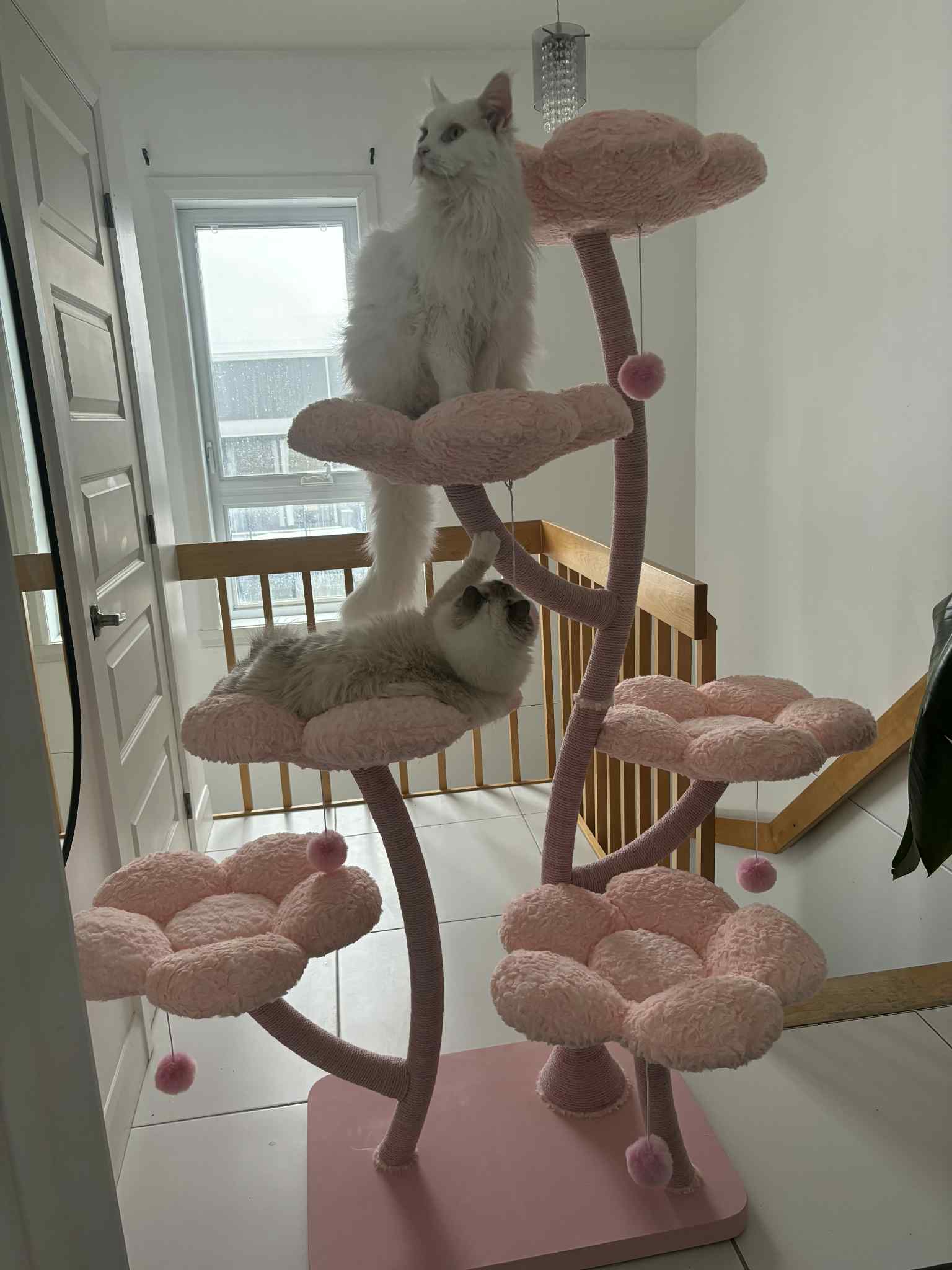 Ma boutique Cat trees Elysian Pink Flower Cat Tree