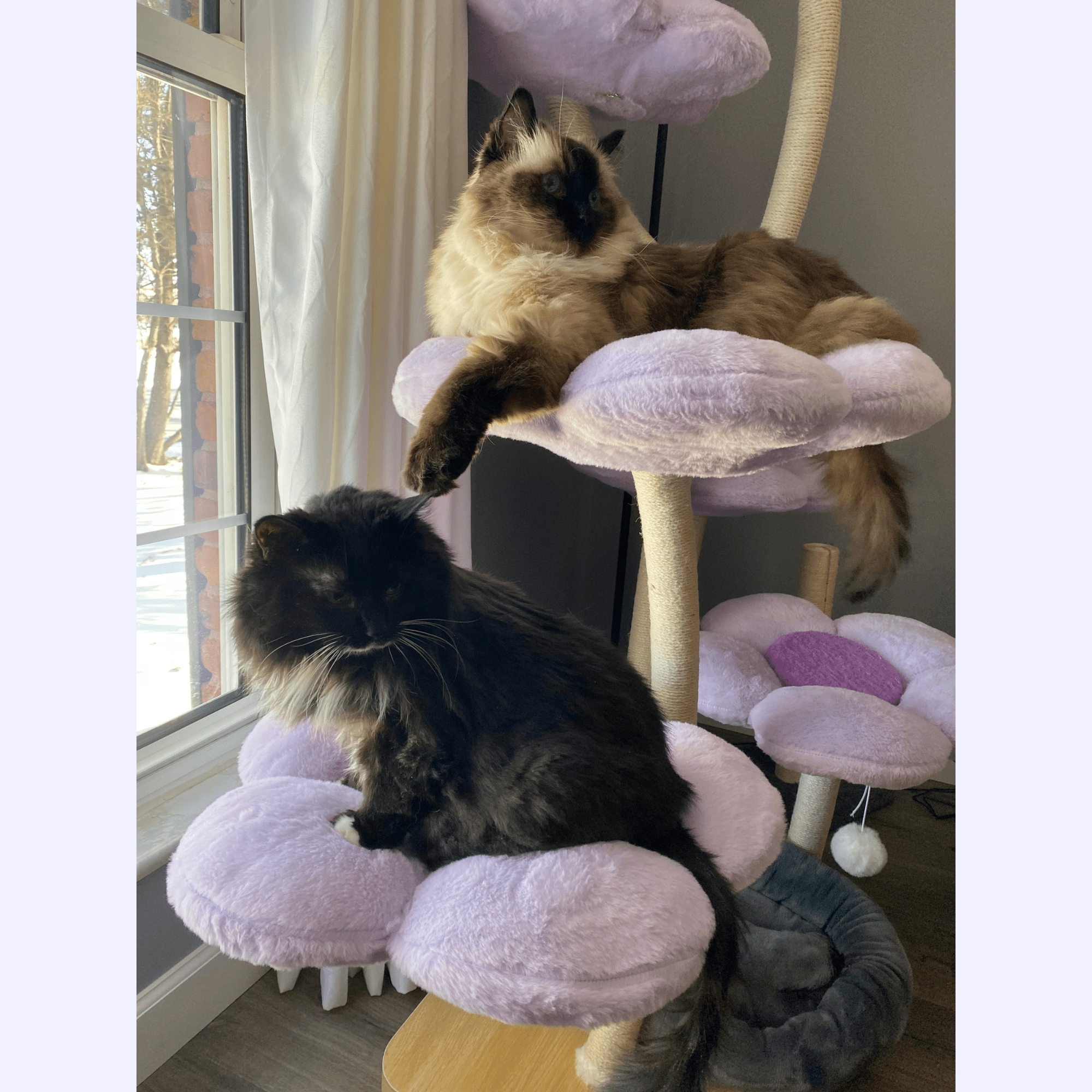 Ma boutique Cat trees Elysian Purple Flower Cat Tree