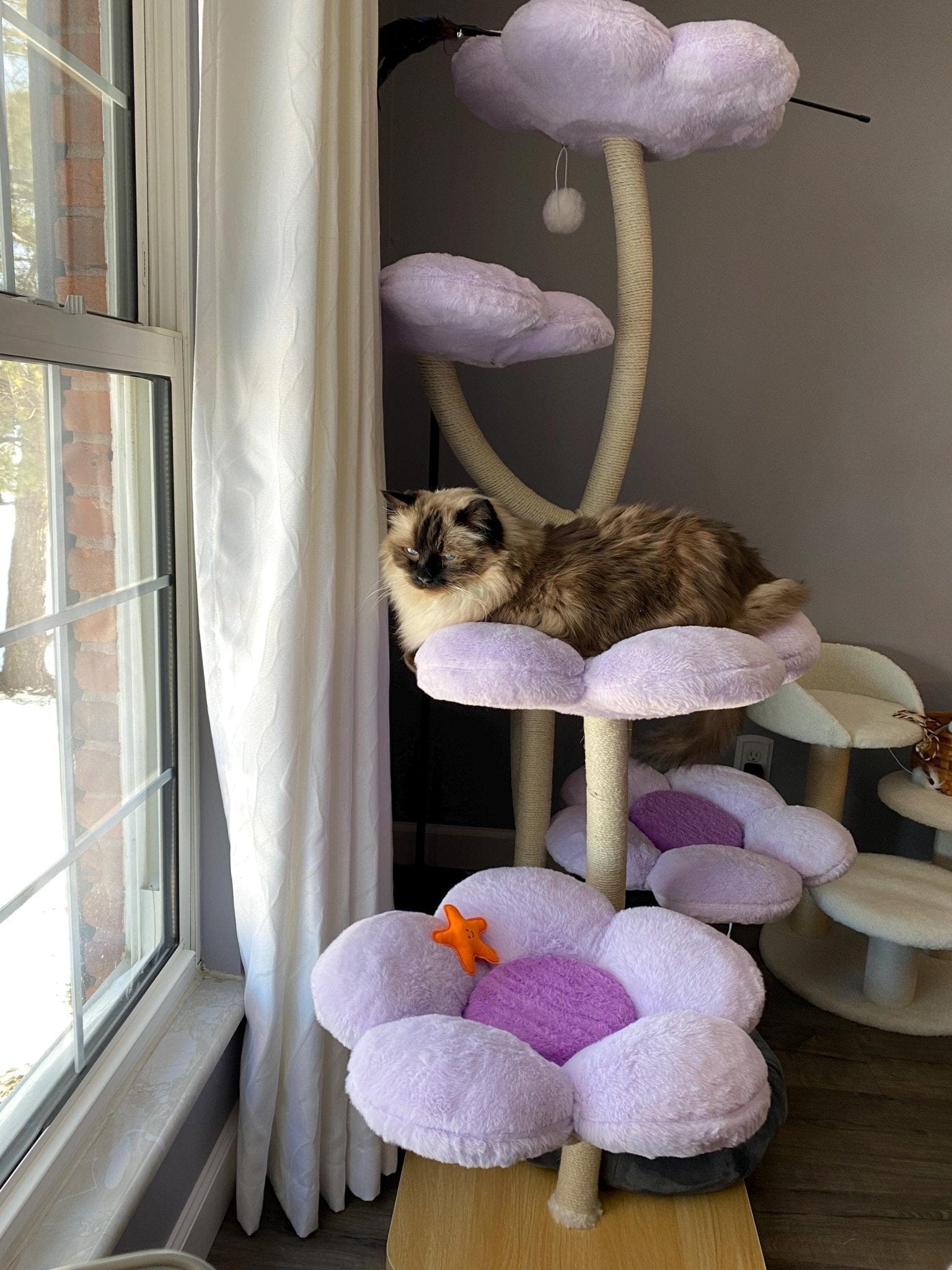 Ma boutique Cat trees Elysian Purple Flower Cat Tree
