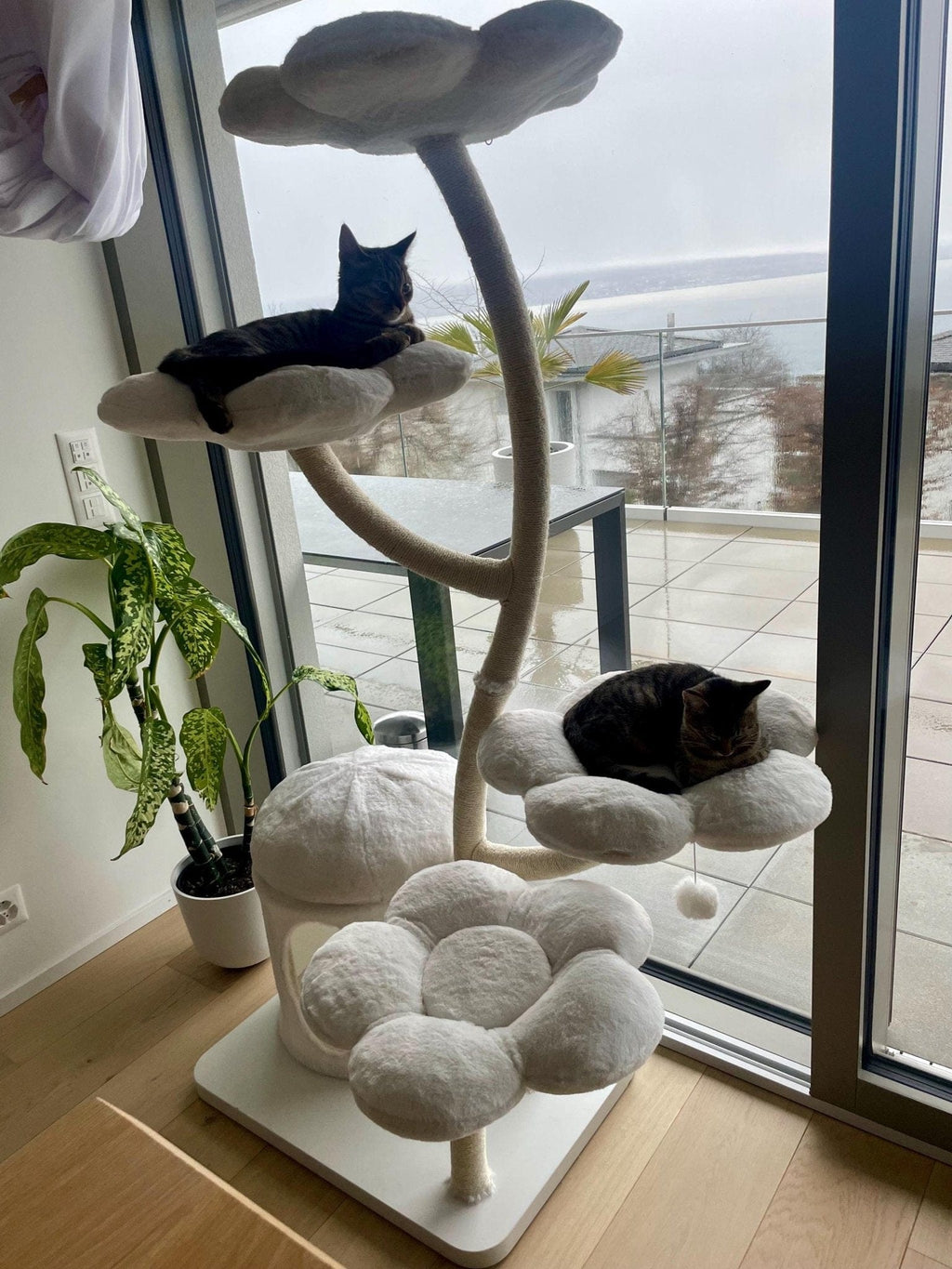 Meowera Cat trees Plush Velvet Eve White Flower Cat Tree